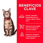Alimento-para-gatos-Hills-Adultos-Optimal-Care