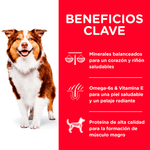 Alimento-para-perro-Hills-Mature-Ob-Dry