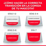 Alimento-para-gatos-Hills-Adultos-Optimal-Care
