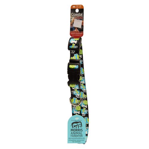 Collar Para Perro Coastal Pet Sty Hueso Huella Azul