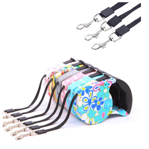 Traílla Retráctil Calabaza (Diseños Y Colores Surtidos)