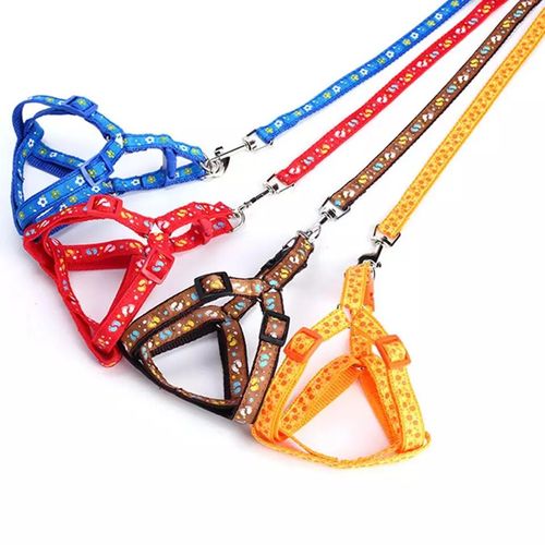Traílla Con Arnés Para Perro (Colores y Diseños Surtidos)