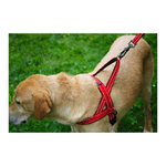 arnes-para-perro-kong-norwegian-negro