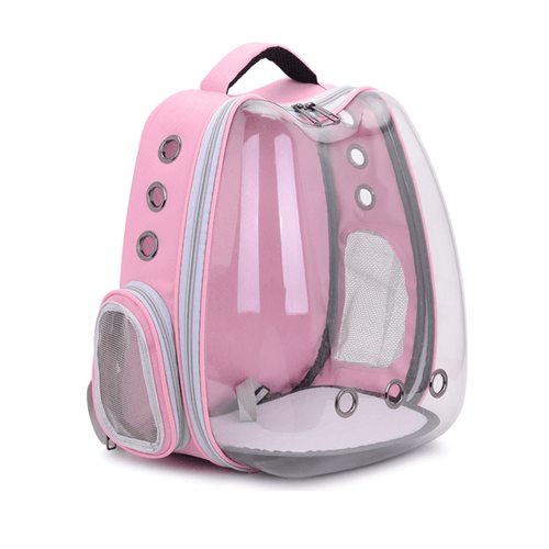 Morral Transparente Orejas De Gato Calabaza (Colores Surtidos)