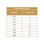 small-breed-lr-adult--2-