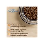 small-breed-lr-adult--3-