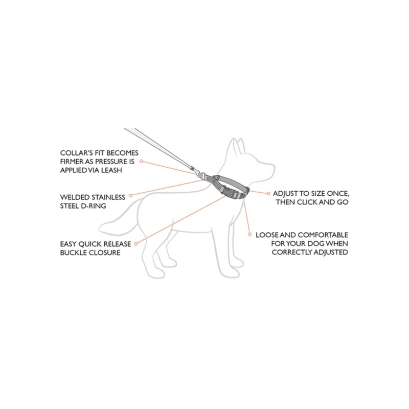 collar-para-perro-ezydog-checkmate-azul