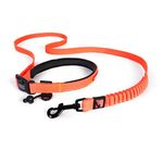 road_runner_leash_blaze_orange_lowres_grande