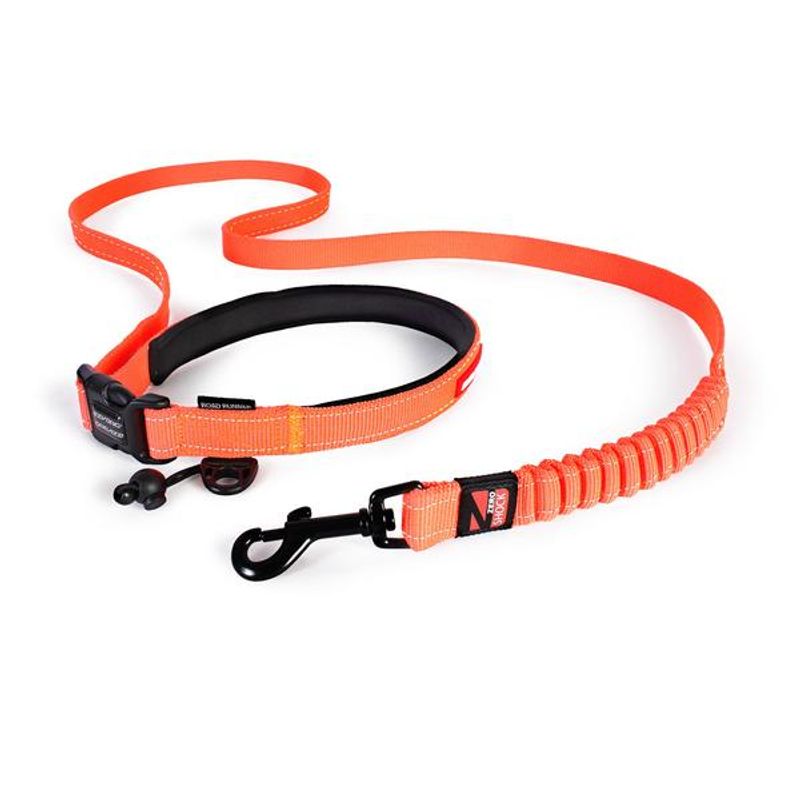 road_runner_leash_blaze_orange_lowres_grande