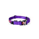 collar-para-perro-double-up-ezydog-morado