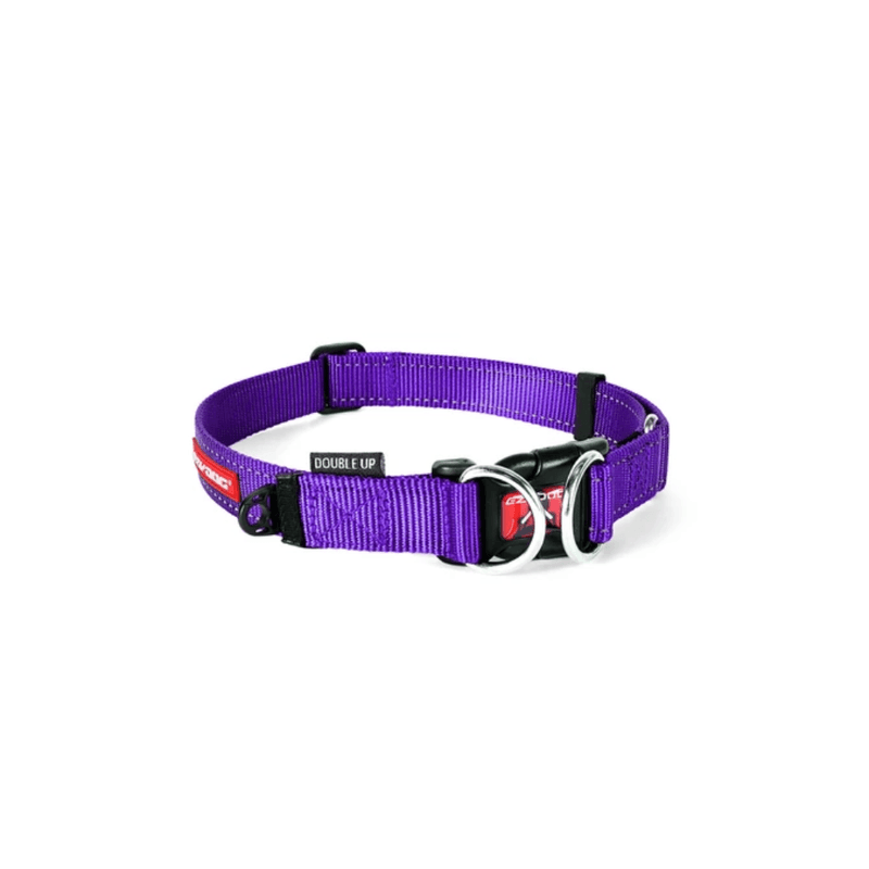 collar-para-perro-double-up-ezydog-morado