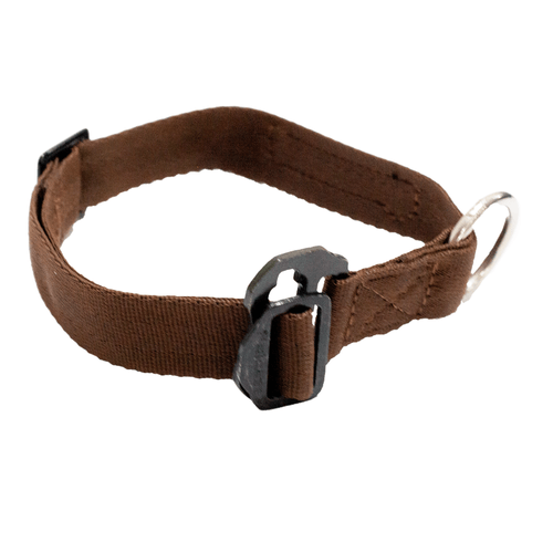 Collar Para Perro Felcan ID Café
