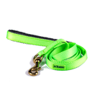 trailla-para-perro-al-torno-reata-neopleno-color-surtido