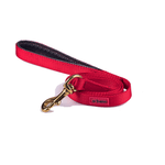 trailla-para-perro-al-torno-reata-neopleno-color-surtido