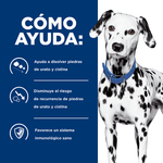 alimento-para-perro-hills-urinary-care-ud