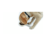 comedero-para-mascotas-m-pets-bambu