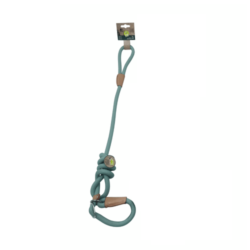 Correa Para Perro M-PETS Eco Verde