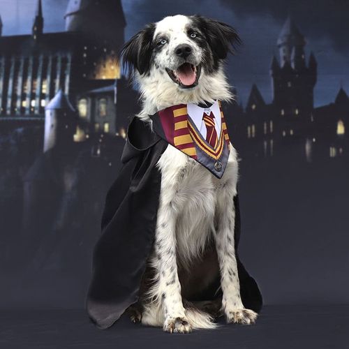 Disfraz para Perro Harry Potter A&B