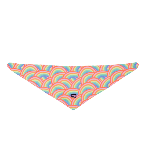 Pañuelo Para Mascotas Totto Menta Doble Faz 2.0 Rosa Arcoiris