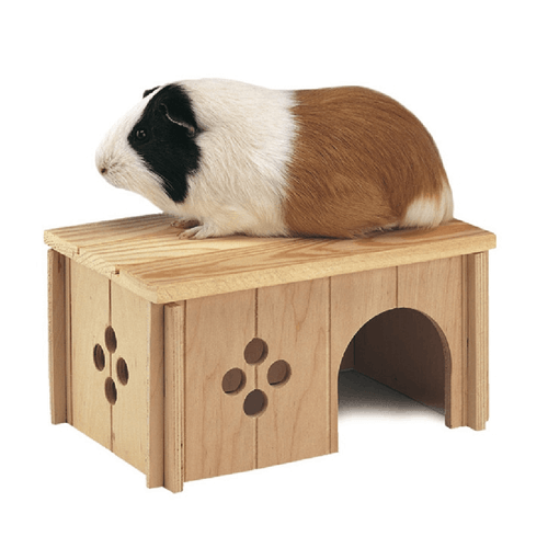 Casa Para Hamsters Ferplast