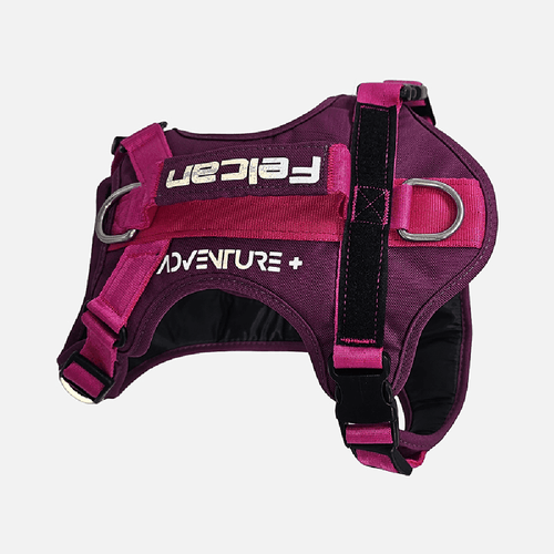 Arnés Para Perro Mountain Morado Felcan