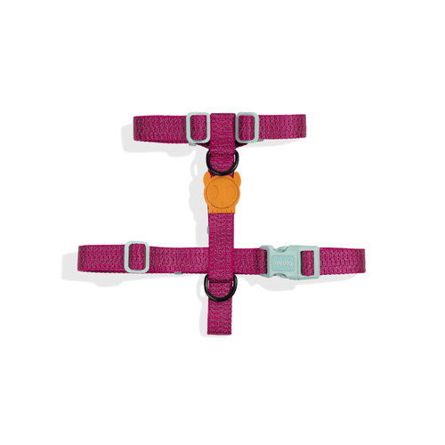 Arnés Para Perro Zeedog H-Harness Nox Sidus