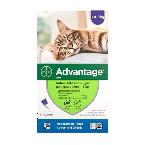 Antipulgas Advantage Gatos