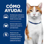 Proyecto nuevo -36-.png