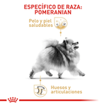 BHN-POMERANIAN-ADULT---ESPECIFICO-DE-RAZA.png