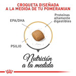 BHN-POMERANIAN-ADULT---CROQUETA.png