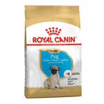 BHN-PUG-PUPPY.png