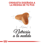 BHN-PUG-PUPPY---CROQUETA.png