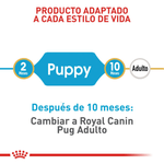 BHN-PUG-PUPPY---PRODUCTO-ADAPTADO.png