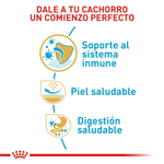 BHN-PUG-PUPPY---NUTRICION-A-LA-MEDIDA.png