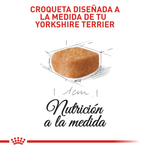 BHN-YORKSHIRE-PUPPY---CROQUETA.png