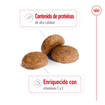 SHN MEDIUM ADULT 7+ - CROQUETA.png