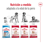 SHN MEDIUM ADULT 7+ - PRODUCTO ADAPTADO.png