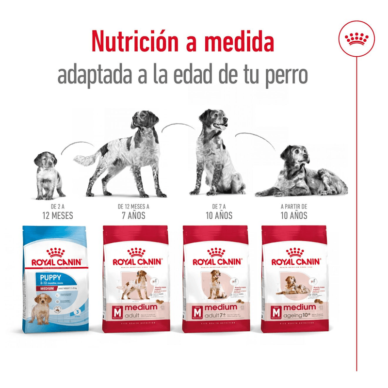 SHN MEDIUM ADULT 7+ - PRODUCTO ADAPTADO.png