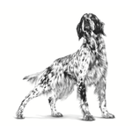 VHN-ANALLERGENIC-DOG---PERRO.png