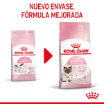 FHN MOTHERANDBABYCAT - FORMULA MEJORADA