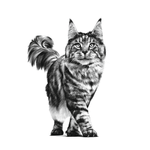VHN FIBRE RESPONSE CAT - GATO