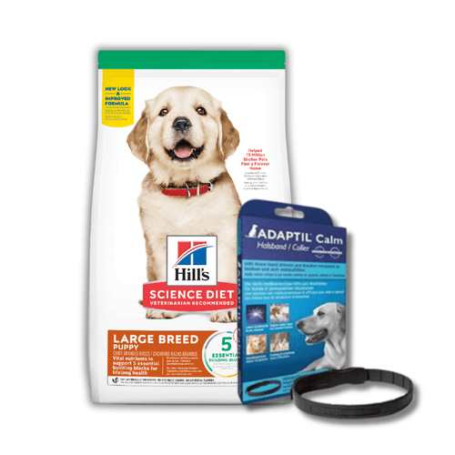 Combo Hill’s Puppy Large Breed para Perro + Collar Adaptil