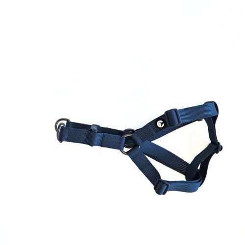 Arnés para Perro Puppis Nylon Azul