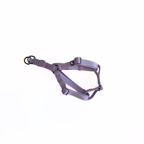 Arnés para Perro Puppis Nylon Lila