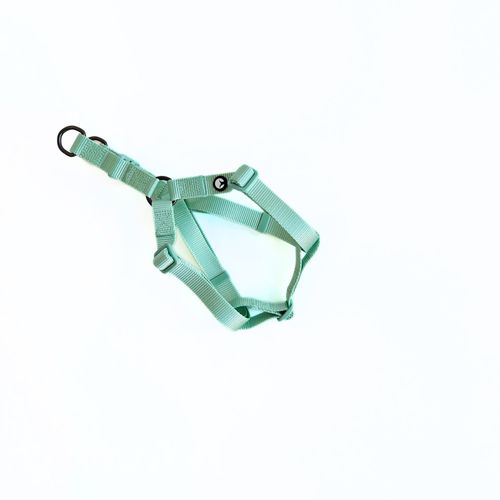 Arnés para Perro Puppis Nylon Aqua