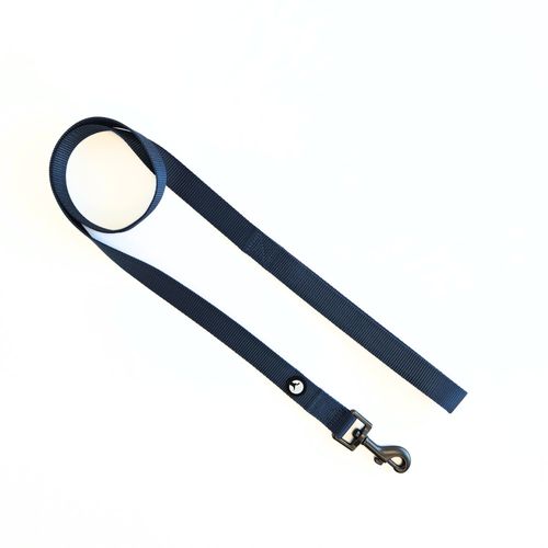 Correa para Perro Puppis Nylon Azul