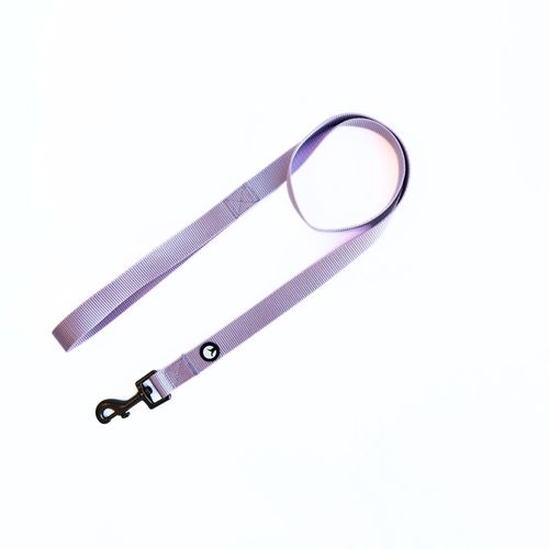 Correa para Perro Puppis Nylon Lila
