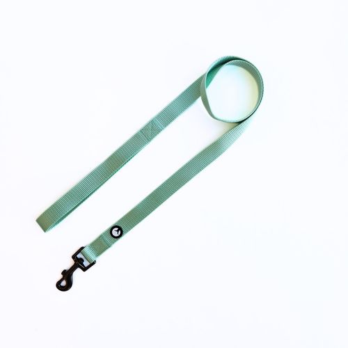 Correa para Perro Puppis Nylon Aqua