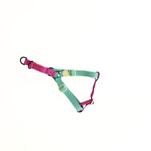 Arnés para Perro Puppis Poly Magenta Muse