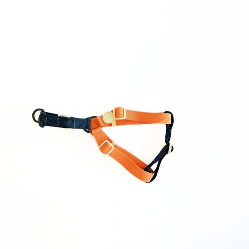 Arnés para Perro Puppis Poly Teal Dominion